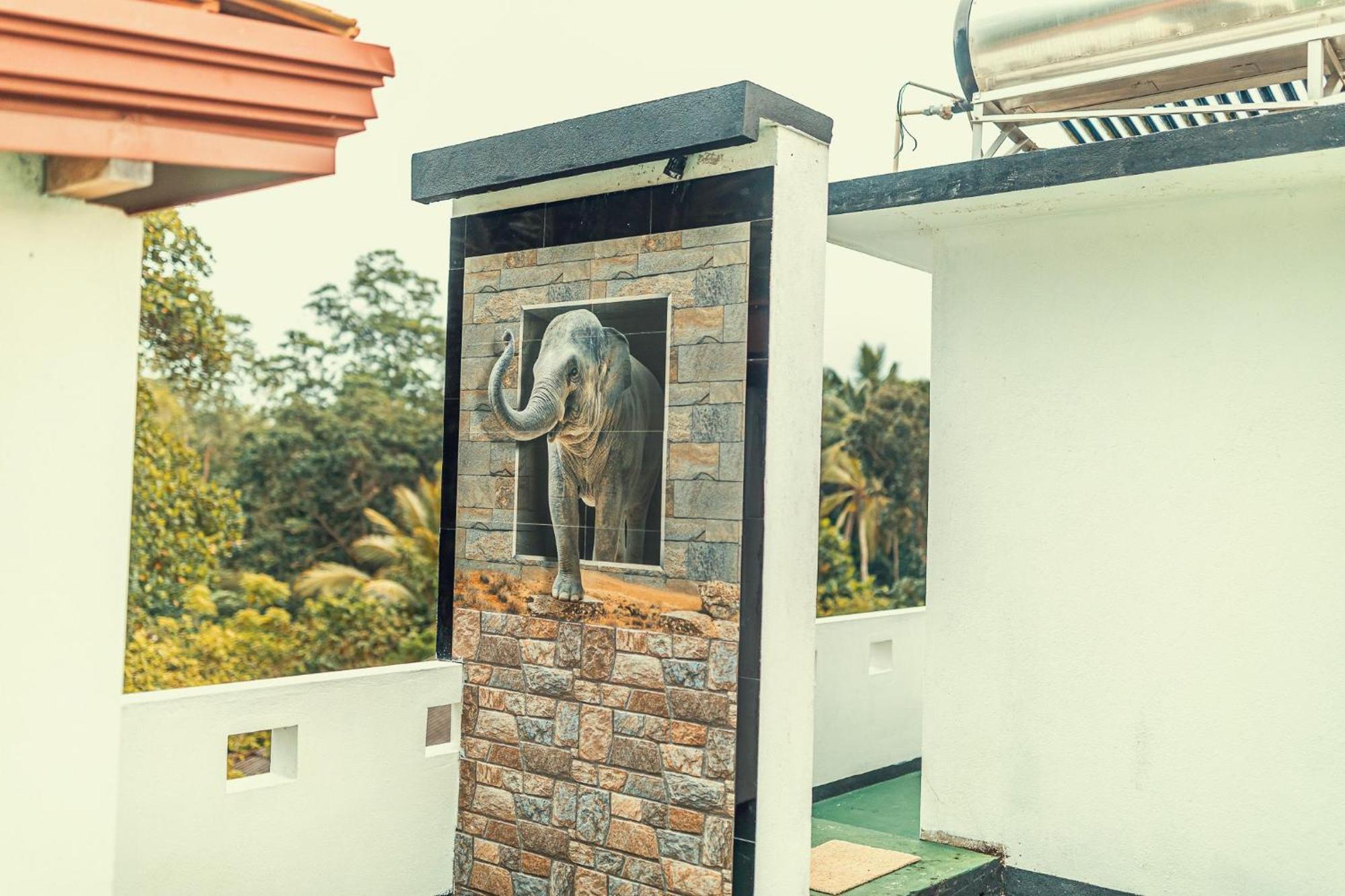 Villa טאלפה מראה חיצוני תמונה